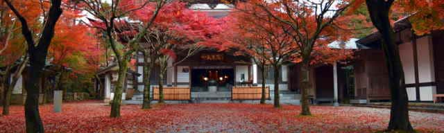 呑山観音寺の紅葉