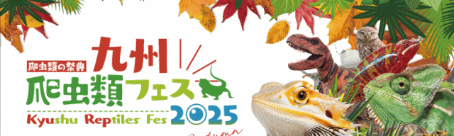 九州爬虫類フェス2025 Autumn