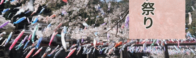 杖立温泉鯉のぼり祭り