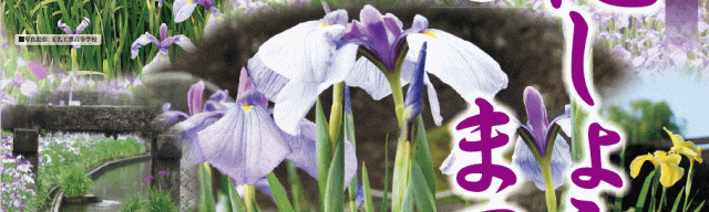 第34回髙瀬裏川花しょうぶまつり