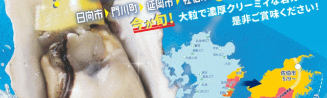 日豊海岸 岩ガキまつり
