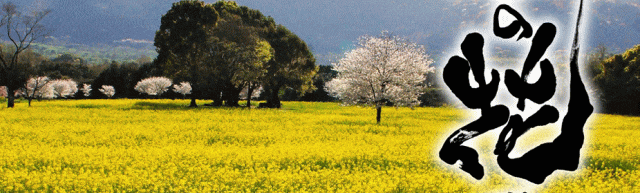 しまばら火張山花公園「春の花まつり」