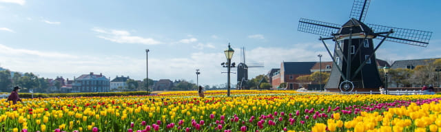 ハウステンボス チューリップセレブレーション