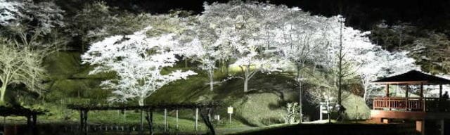 ドライブイン花火熊本2023.春