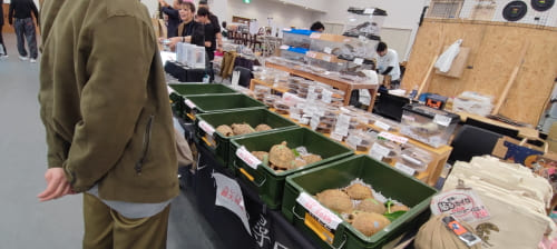 爬虫類フェス