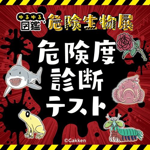 危険度診断テスト