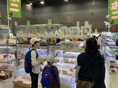 九州爬虫類フェス