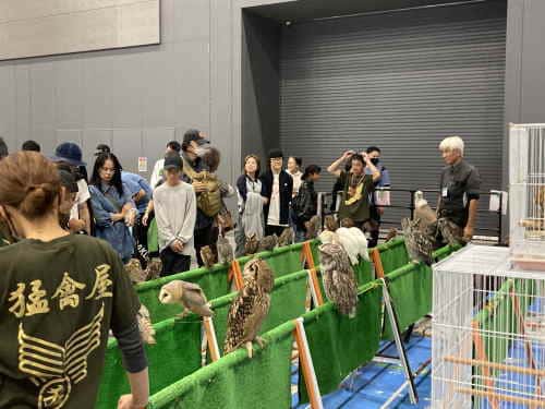 九州爬虫類フェス
