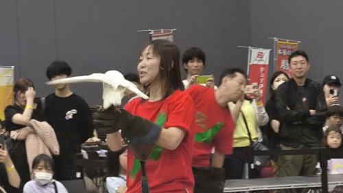 猛禽フライトショー