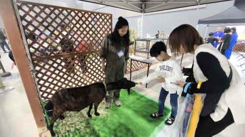 ふれあい動物イベント
