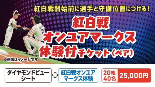 福岡ソフトバンクホークス ファンフェスティバル2025「紅白戦オンユアマークス体験付チケット」