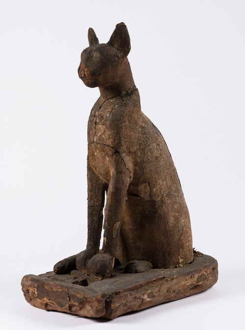 ネコの棺とミイラ